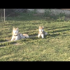 Meet your Posher, Taryn